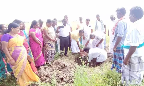 மன்னார்குடி ஒன்றிய தலைவர் சேரன்குளம் மனோகரன் மரக்கன்றுகள் நட்டார்.