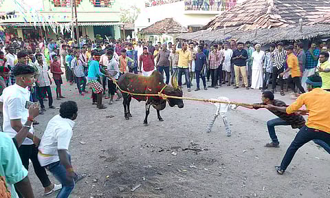 தருமபுரி மாவட்டம் கடத்தூரில் நடந்த எருது விடும் விழா.