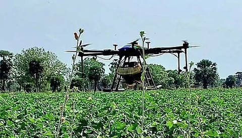 ட்ரோன் மூலம் பூச்சி மருந்து தெளித்தல்