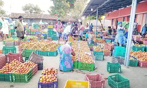 அய்யலூர் சந்தையில் விற்பனைக்கு கொண்டு வரப்பட்ட தக்காளி.