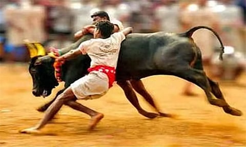 விதிமுறைகளை மீறினால் எருதுவிடும் விழாவுக்கு தடை