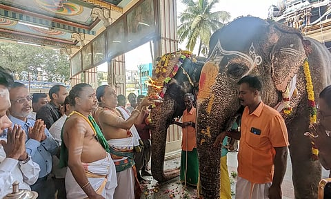 பழனி கோவில் கும்பாபிஷேகத்தை முன்னிட்டு இன்று கஜ பூஜை