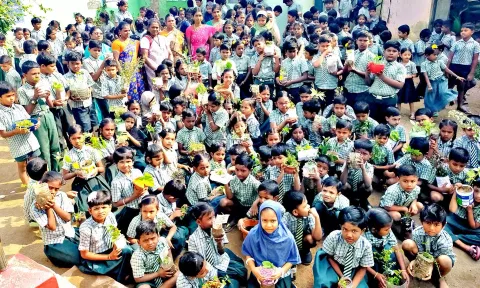 மூலிகை செடி வளர்த்த மாணவர்களுக்கு பாராட்டு