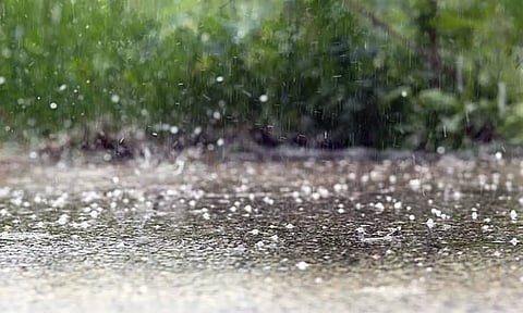 நெல்லையில் திடீர் சாரல் மழை