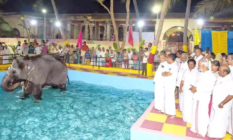 கோவிலில் நீச்சல்குளத்தை அமைச்சர் சேகர்பாபு திறந்து வைத்து பார்வையிட்டார்.