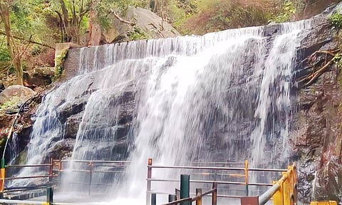 சுருளி அருவியில் நீர்வரத்து சீரானது.