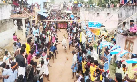 கம்மவான்பேட்டையில் சீறிப்பாய்ந்து ஓடிய காளைகள்.