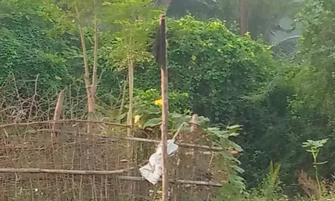 வீடுகளிலும், வீதிகளிலும் கருப்பு கொடி ஏற்றப்பட்டிருப்பதை படத்தில் காணலாம்.