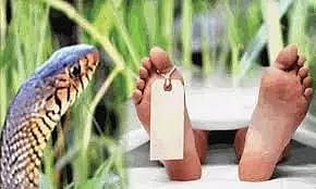 பாம்பு கடித்து பெண் சாவு