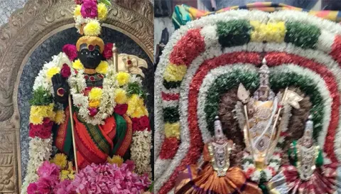 பரமத்தி வேலூர் பேட்டை முருகன், அனிச்சம்பாளையத்தில் உள்ள சுப்பிரமணியர் சிறப்பு அலங்காரத்தில் அருள்பாலித்த காட்சி.&nbsp;