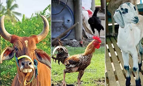 கோப்புபடம்.&nbsp;