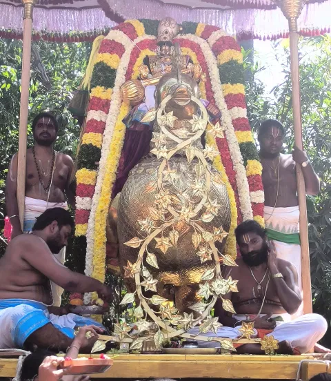 தென்திருப்பதி ஸ்ரீவாரி மலையப்பர் கோவிலில் ரதசப்தமி விழா