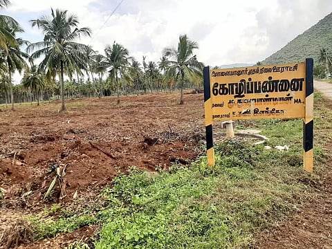 மனைகளாக பிரித்து விற்பனை செய்வதற்காக விளை நிலங்களில் உள்ள மரங்கள் வெட்டி அகற்றப்படும் காட்சி.