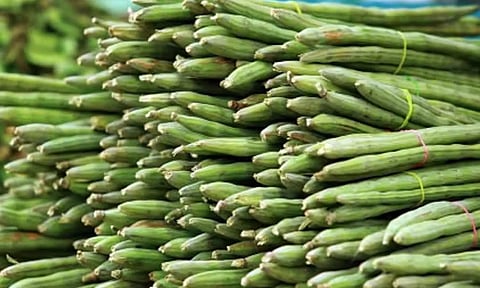 கோப்புபடம்.