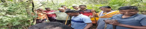 கல்வராயன் மலைப்பகுதியில் போலீஸ் சூப்பிரண்டு மோகன்ராஜ் தலைமையிலான போலீசார் சாராய ஊரலை அழித்தனர்.
