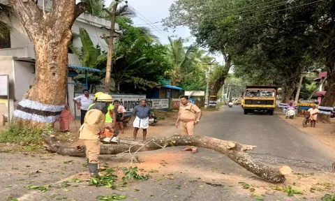 முறிந்து விழுந்த மரத்தை தீயணைக்கும் படையினர் வெட்டிஅகற்றிய போது எடுத்த படம்.