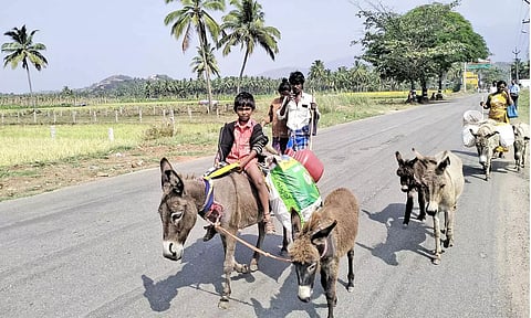 கழுதைகளுடன் சென்று பால் வியாபாரத்தில் ஈடுபட்டுள்ளவர்களை காணலாம்.