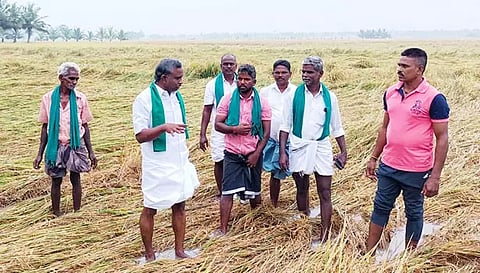 மழையால் பாதிக்கப்பட்ட சம்பா பயிர்களை கணக்கீடு செய்து உரிய இழப்பீடு வழங்க வேண்டும்- பி.ஆர்.பாண்டியன்