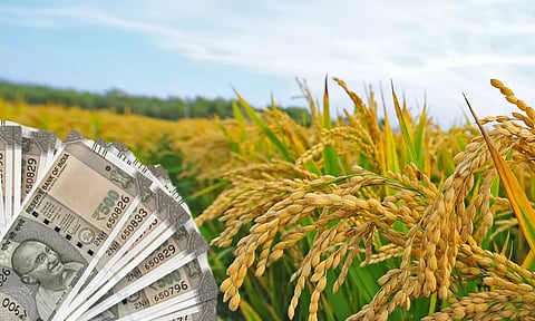 திருச்செந்தூர் வட்டார விவசாயிகள் பயிர் இழப்பீட்டை தவிர்க்க உடனடியாக காப்பீடு செய்யுங்கள்-வேளாண்மை உதவி இயக்குனர் வேண்டுகோள்