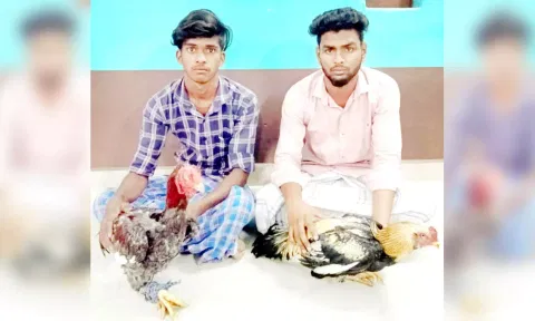 கைது செய்யப்பட்டவர்கள்.