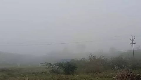 வாழப்பாடி பகுதியில் காலை 9 மணி வரை கடும் பனிப்பொழிவு