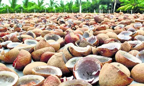 கோப்புபடம்.