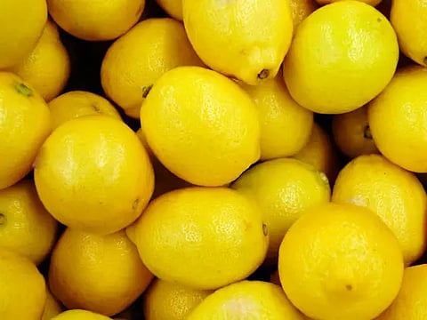 சேலத்தில் எலுமிச்சை பழங்கள் விலை சரிவு