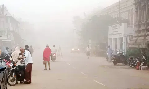 பனிபொழிவுடன் காணப்படும் திருவாரூர் தியாகராஜர் கோவில் சாலை.