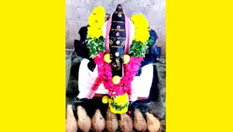 விசாலாட்சி விநாயகர் கோவிலில் சங்கடஹர சதுர்த்தி விழா