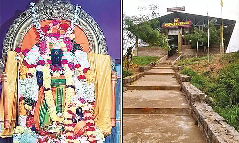 பாலமுருகனையும், கோவிலின் தோற்றத்தையும் படத்தில் காணலாம்.