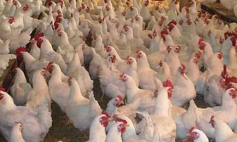 கோப்புபடம்.