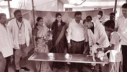 மீஞ்சூரில் 163 செல்ல பிராணிகளுக்கு தடுப்பூசி