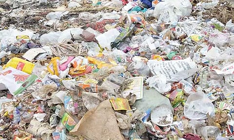 குடிநீர் திட்டத்துக்கு ஒதுக்கப்பட்ட இடத்தில் குப்பைகள் கொட்டிய விவகாரம்- பசுமை தீர்ப்பாயம் நடவடிக்கை