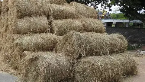 வைக்கோல் விற்பனை அமோகம்