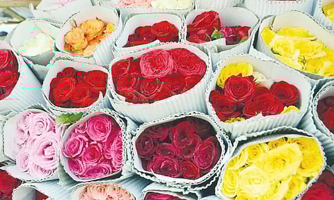 ஒரு ரோஜா பூ போதும்...