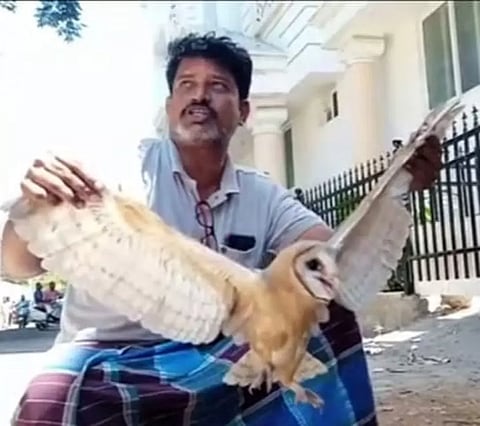 ராமநாதபுரத்தில் பிடிபட்ட அரியவகை ஆந்தைகள் சரணாலய பகுதியில் விடப்பட்டன