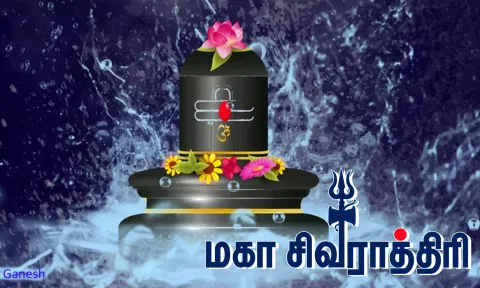 நெல்லையப்பர் கோவில் சார்பில் பாளை எருமைகடா மைதானத்தில் 18-ந் தேதி மகா சிவராத்திரி விழா