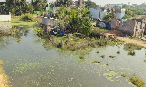 கடலூர் தேவனாம்பட்டினம் கேகே நகர் பகுதியில் குடியிருப்புகளை குலம் போல சூழ்ந்துள்ள பாதாள சாக்கடை கழிவுநீர்.