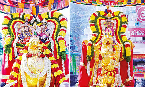 ஸ்ரீகாளஹஸ்தீஸ்வரர் கங்காதேவியுடன் ஹம்ச வாகனத்திலும், ஞானப்பிரசுனாம்பிகை தாயார் யாளி வாகனத்திலும் அருள்பாலித்த காட்சி.