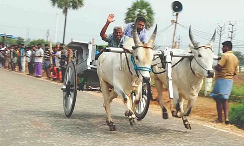 கோப்புபடம்.