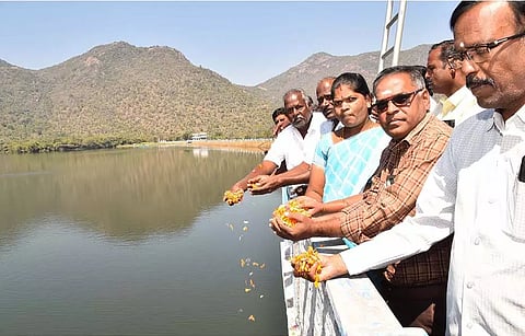 &nbsp;வாணியாறு நீர்த்தேக்கத்திலிருந்து புதிய, பழைய ஆயக்கட்டு பகுதிகளின் பாசனத்திற்காக  பொதுப்பணித்துறை உதவி செயற்பொறியாளர் ஆறுமுகம் மலர் தூவி தண்ணீர் திறந்து வைத்தார்.