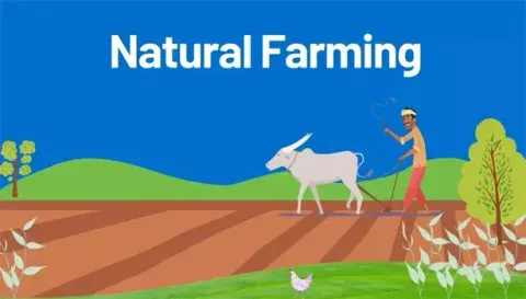 கட்டணமின்றி அங்ககச்சான்று பெற விவசாயிகளுக்கு அழைப்பு