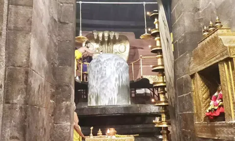 தஞ்சை பெரிய கோவிலில் பெருவுடையாருக்கு பாலாபிஷேகம் செய்யப்பட்டது.