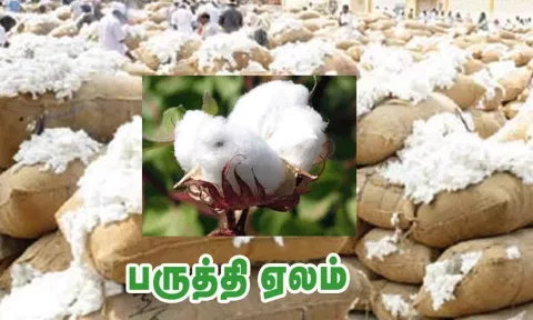 கோப்புபடம்.&nbsp;
