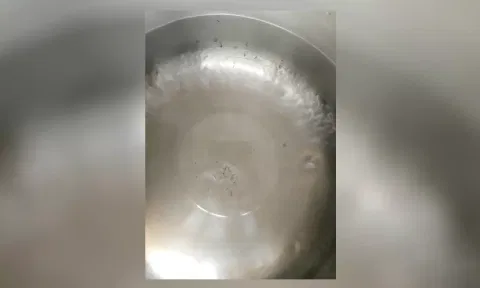 குடிநீரில் புழுக்கள் இருப்பதை படத்தில் காணலாம்.&nbsp;