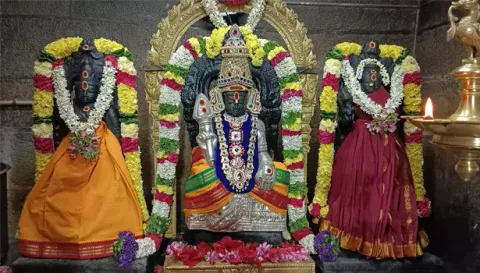 விழாவை முன்னிட்டு ராஜா சாமி சிறப்பு அலங்காரத்தில் அருள்பாலித்த காட்சி.