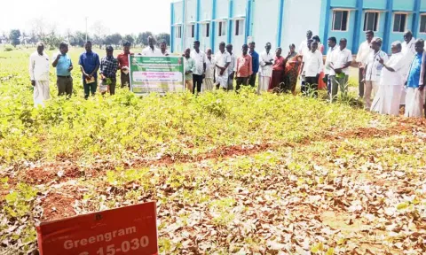 சேத்துப்பட்டில் விவசாயிகளுக்கு பயிற்சி