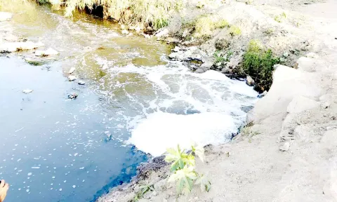 கழிவுநீரை பாலாற்றில் வெளியேற்றிய தோல் தொழிற்சாலையின் மின் இணைப்பு துண்டிப்பு