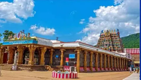 கள்ளழகர் கோவில் மாசி தெப்ப உற்சவம்