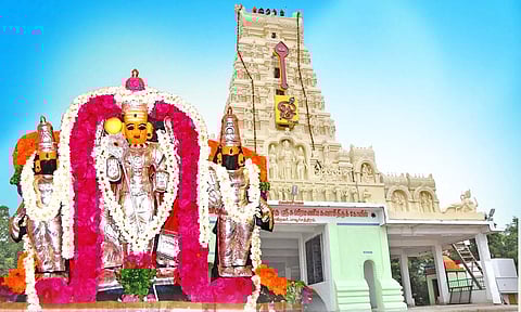 பாவூர்சத்திரம் வென்னிமலை முருகன் கோவில் மாசி பெருந்திருவிழா- நாளை கொடி ஏற்றத்துடன் தொடங்குகிறது